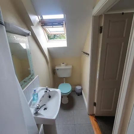 The Grapevine Hostel Dingle