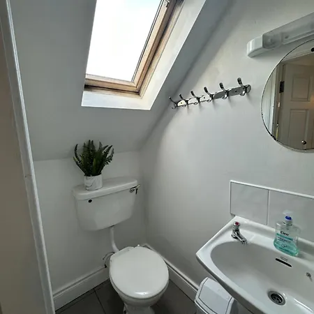 The Grapevine Auberge de jeunesse