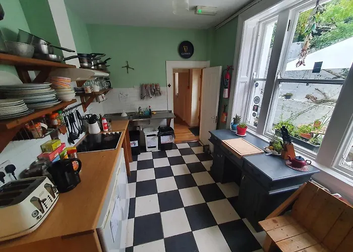 The Grapevine Hostel Dingle