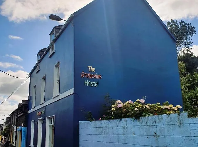 The Grapevine Hostel *