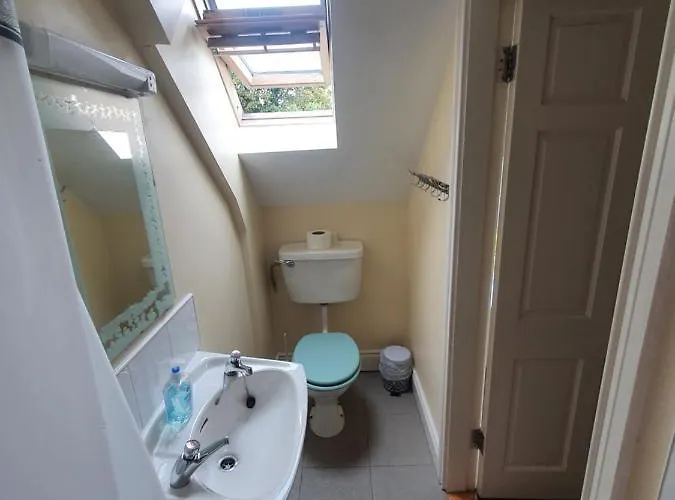 The Grapevine Hostel Dingle