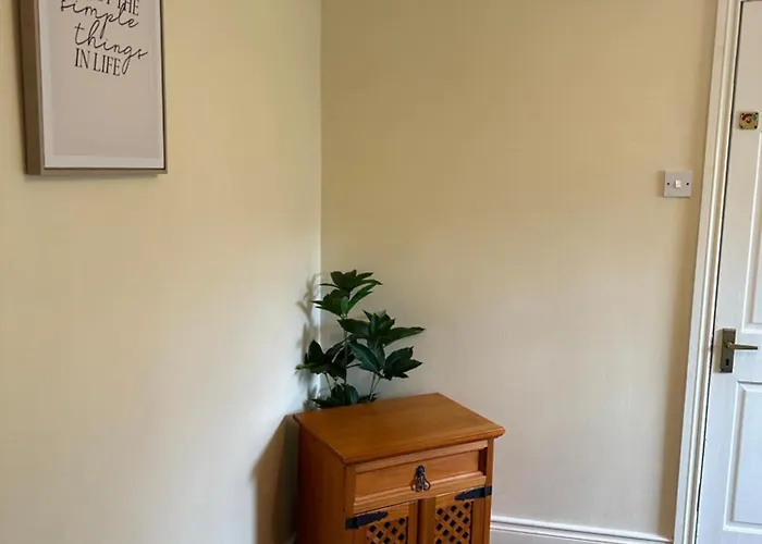 The Grapevine Hostel Dingle