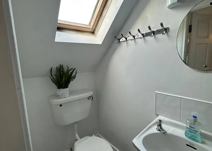 The Grapevine Hostel