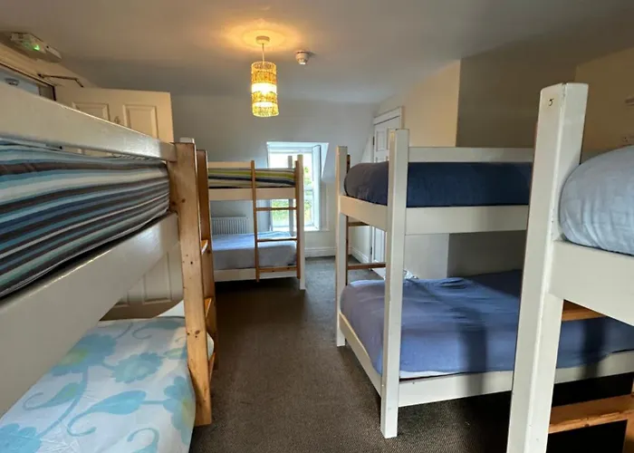 Hostel The Grapevine *