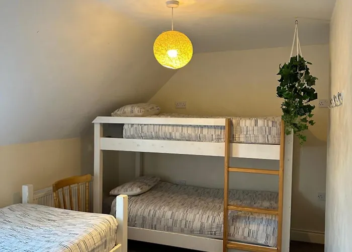 Hostel The Grapevine *