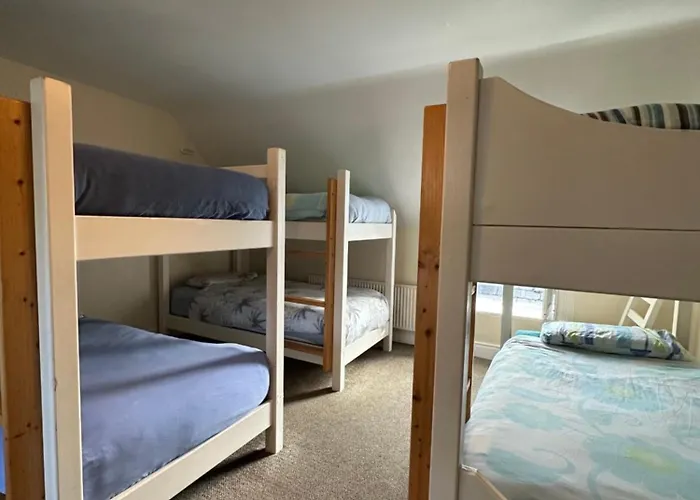 Hostel The Grapevine *