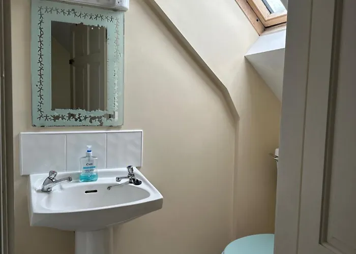 Hostel The Grapevine *