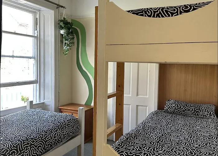 The Grapevine Hostel Dingle